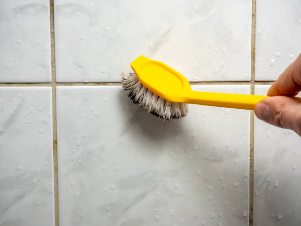 Best Black Mold Remediation in South Whitley, IN