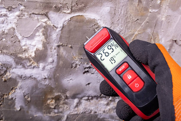 Best Mold Remediation for Specific Building Types in South Whitley, IN